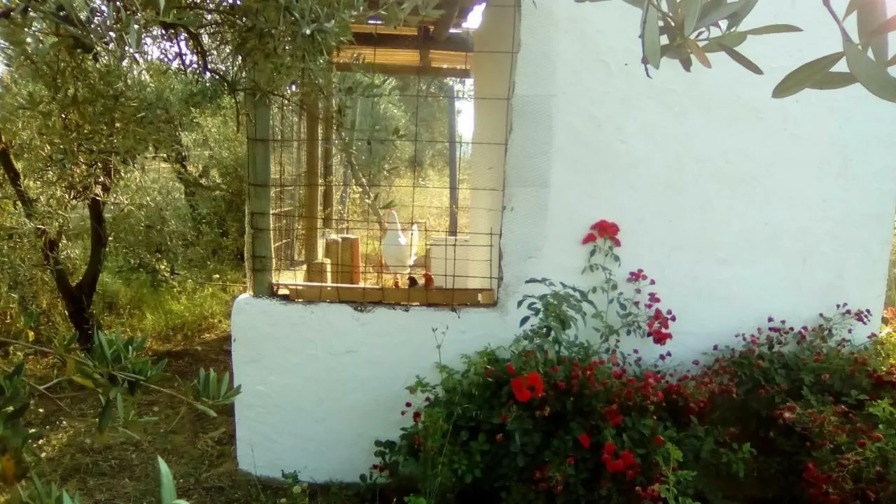 Vila Finca Casa Halcon Almonte Farma