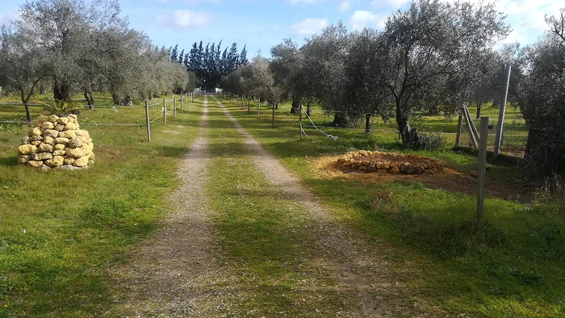 Farm stay Finca Casa Halcon Almonte